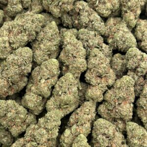 Vanilla Gelato 41