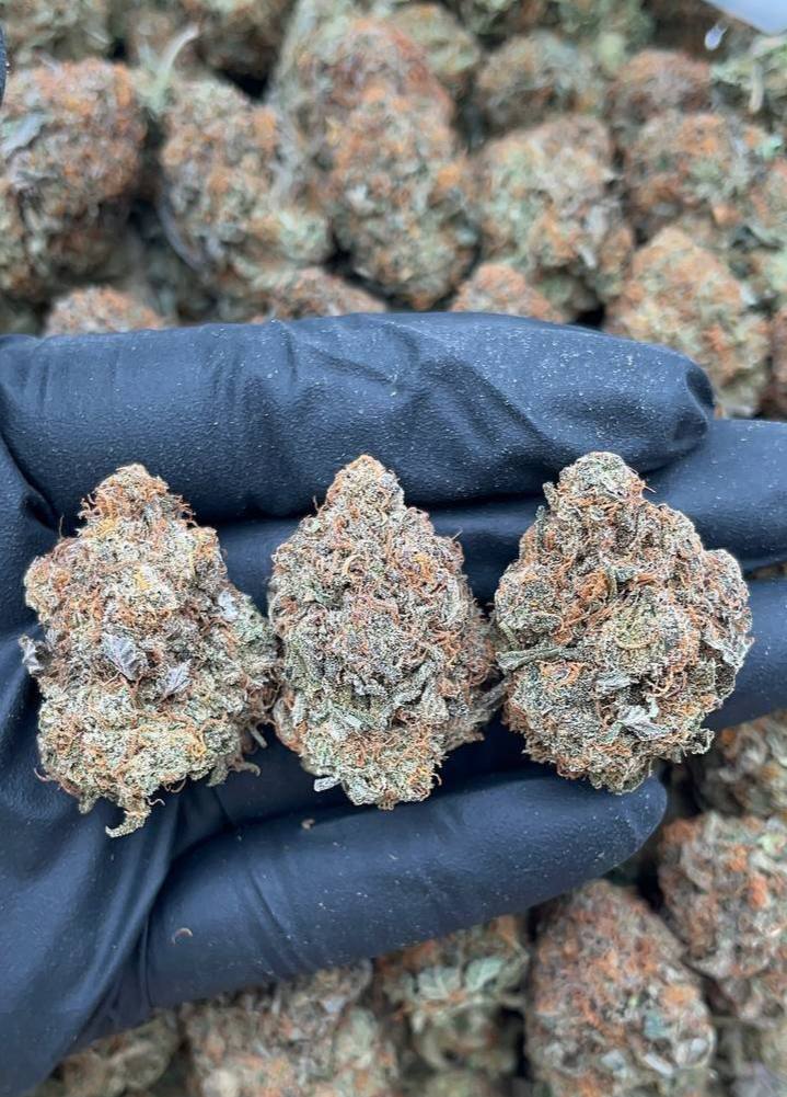 Platinum Bubba - Image 2