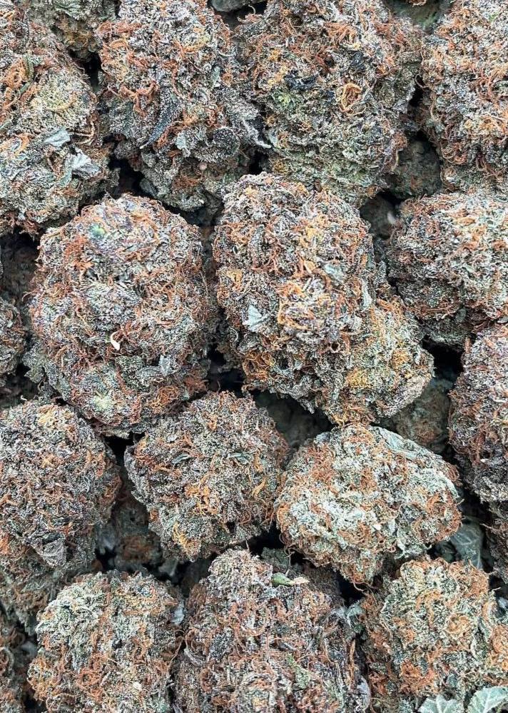 Platinum Bubba