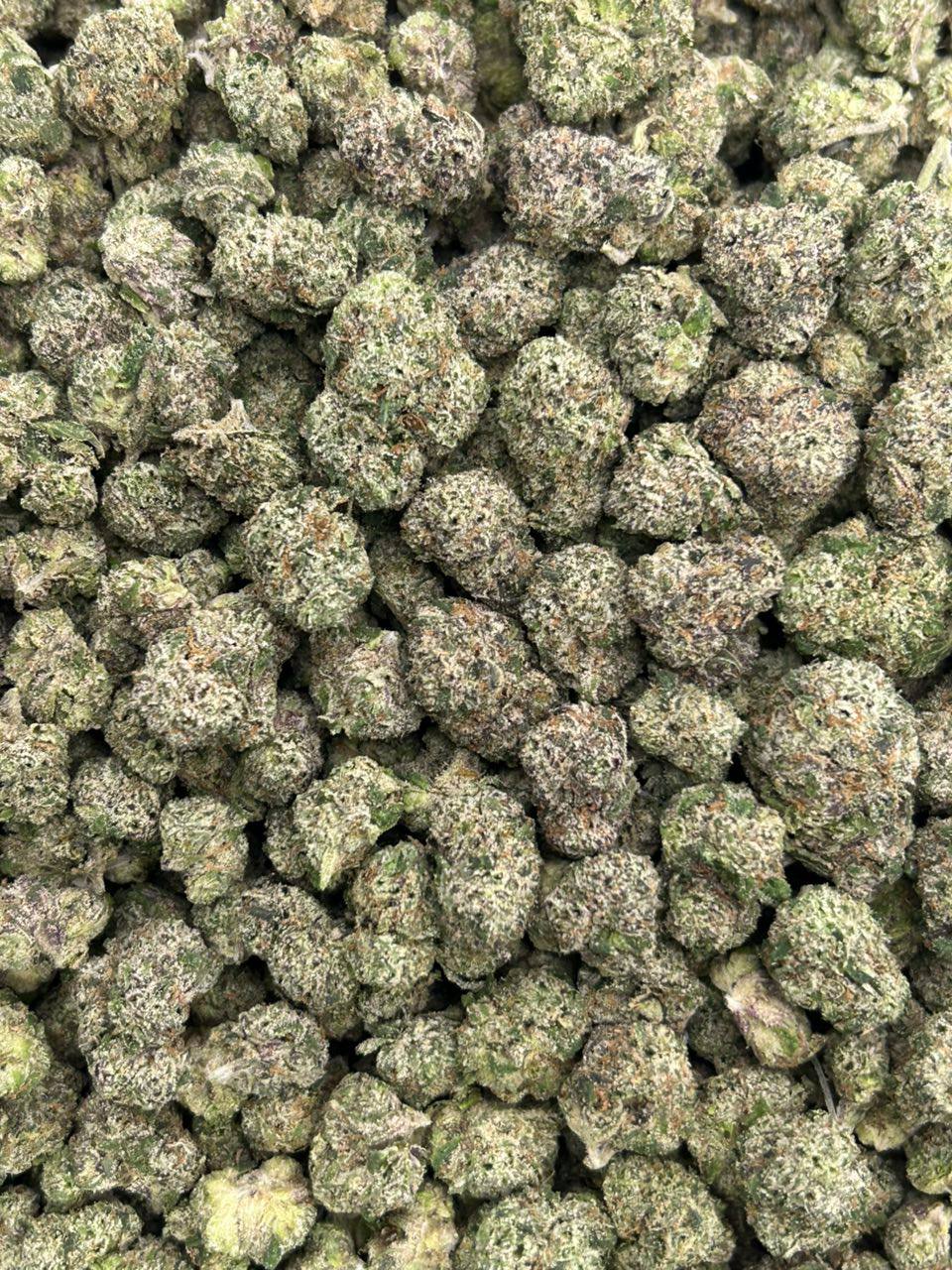 Silver Haze