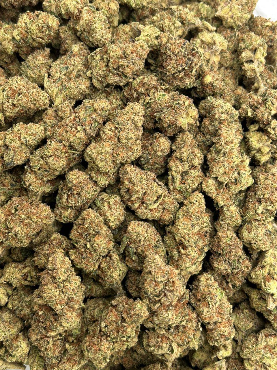 Mango Madness