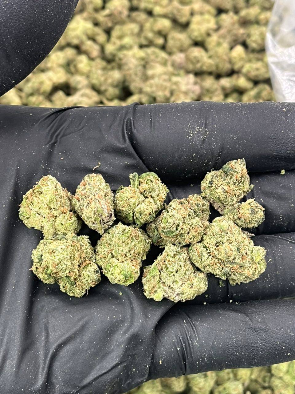 Cherry Popperz - Image 2