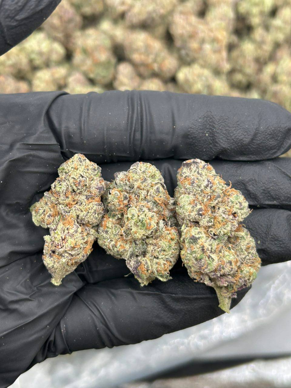 Grape Juice OG - Image 2