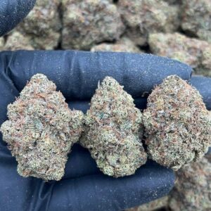 Alternative view of Khalifa Kush