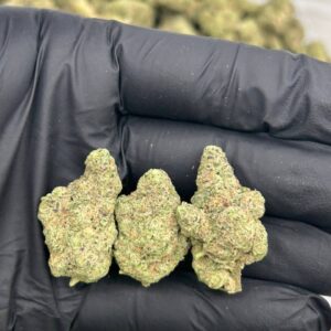 Alternative view of Sluggerz GMO
