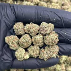 Alternative view of Purple Lemon Cherry