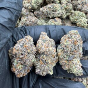 Alternative view of White OG