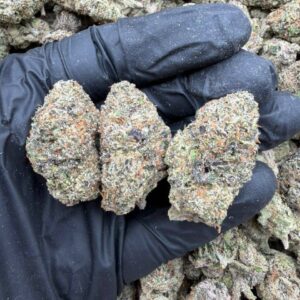 Alternative view of Electric Bubblegum