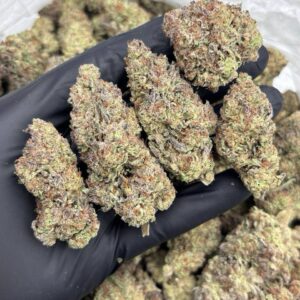 Alternative view of Purple Chemdawg