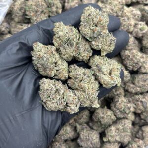 Alternative view of Dirty Sprite