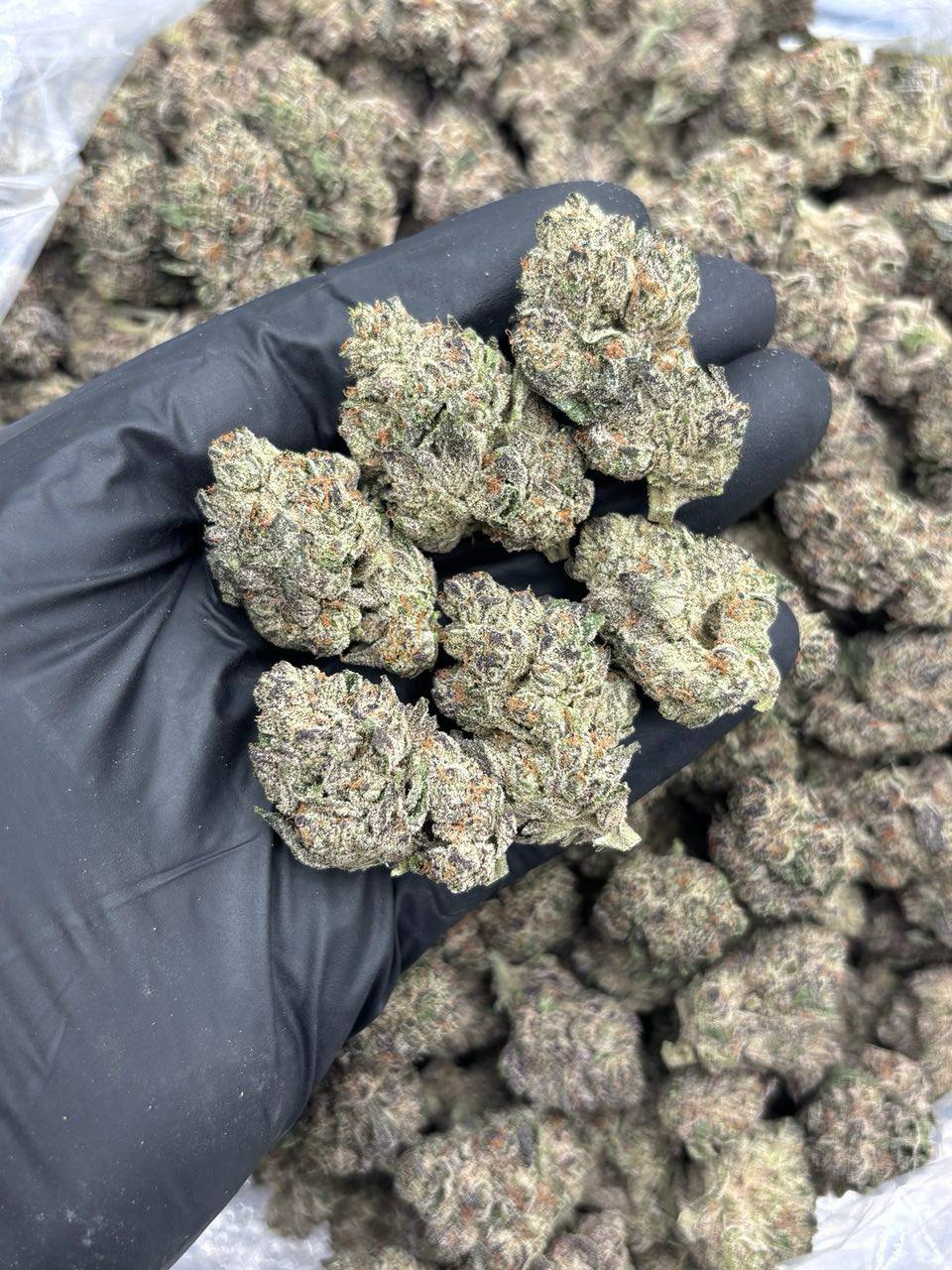 Dirty Sprite - Image 2