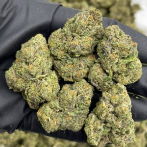 Alternative view of Blueberry Gruntz