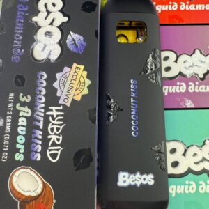 Alternative view of New Besos